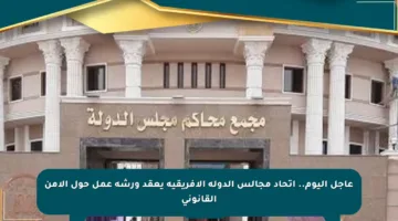 عاجل اليوم.. اتحاد مجالس الدولة الإفريقية يعقد ورشة عمل حول الأمن القانوني
